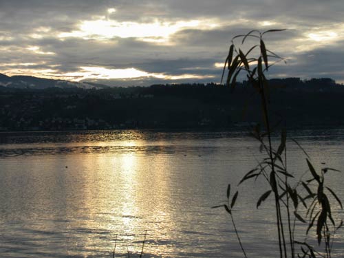 Kehlhof: Blick von der Villa Sunneschy nach Richterswil