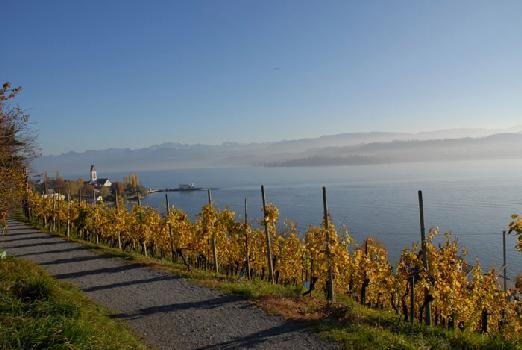 November 2006 am Z�richsee