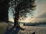 Winterstimmung mit Sonne