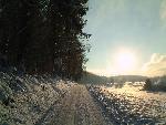 Winterweg am Waldrand