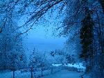 Winter-Blues