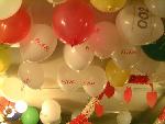 638.ch an der Fasnacht