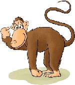 Affe