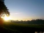 M�nnedorf Nebelstimmung