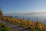 November 2006 am Z�richsee