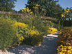 Blumen und G�rten am Genfersee
