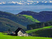 Baselland - �berraschendes entdecken