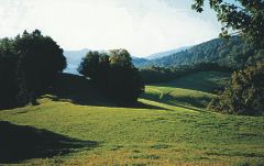 Verkehrs- und Versch�nerungsverein, 4435 Niederdorf