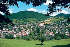 Verkehrs- und Versch�nerungsverein Oberdorf, 4436 Oberdorf