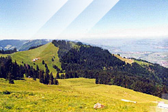 Picture01
