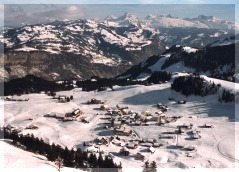 Picture01