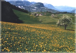 Picture01
