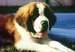 Picture01