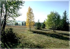 Picture01