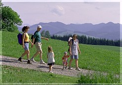 Picture01