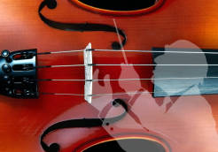 Picture01