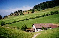 Picture01