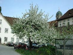 Picture01