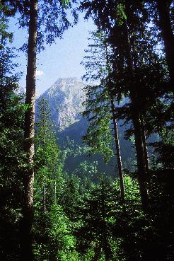Picture01