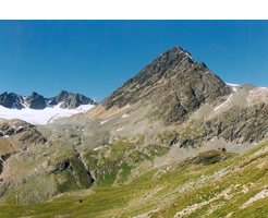 Bernina-TREK