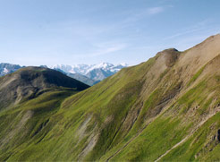 Bernina-TREK
