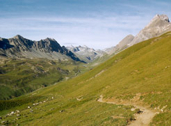 Bernina-TREK