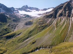 Bernina-TREK