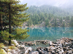 Lago di Saoseo