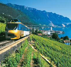 Golden Pass
