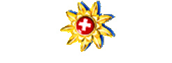 Picture02
