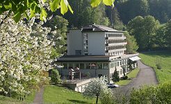 L�ufelfingen