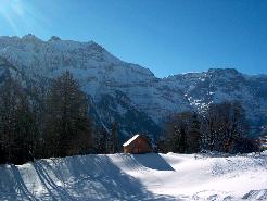Picture02