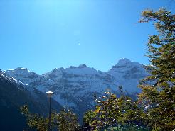 Picture01