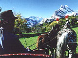 Picture01