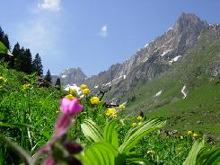 Picture01