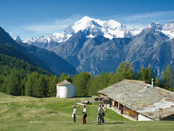 Picture03