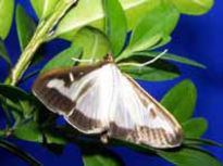 Picture03