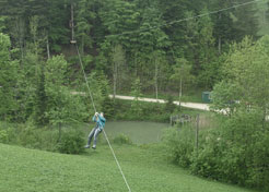 Picture03