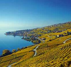 Lausanne Tourisme
