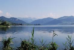 Picture06
