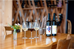 Leibacher Wein - Degustation im Wein-Atelier