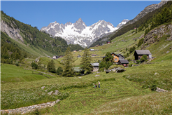 Yoga-Tage Natur Genuss