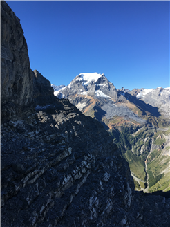 ''SAURIER AM TÖDI !'' Alpenflora, Saurierspuren und Eis