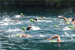 Weggiser Seeschwimmen