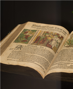 Öffentliche Führung - Museum für medizinhistorische Bücher Muri