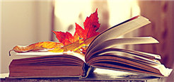 Bücherherbst