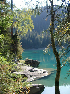 Wasserwelten - Wunderwelten im Flimser Wald