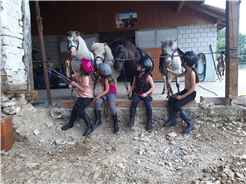 Poney - Einführungskurse