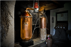 Absinthe en fête