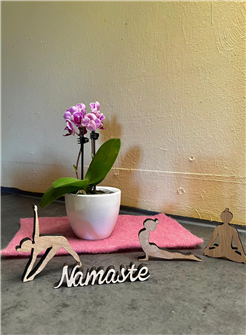 Bärüti Yoga Retreat